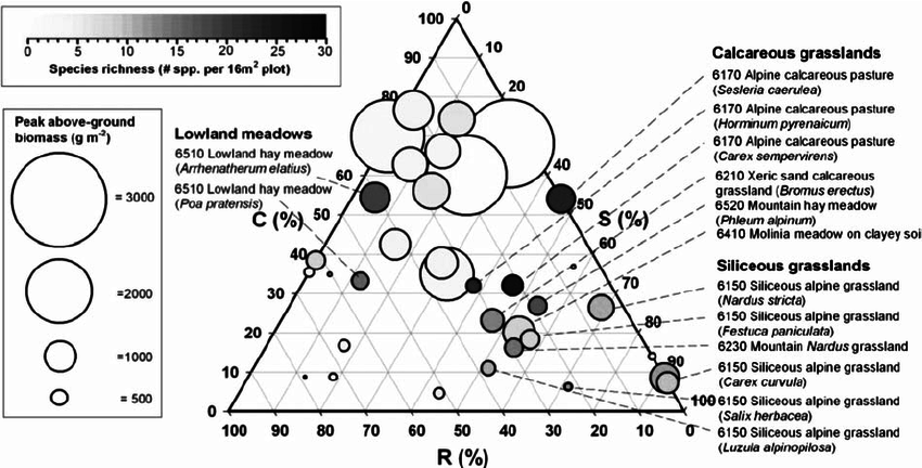 Fig4 Cerabolini 2014 Plant Biosystems