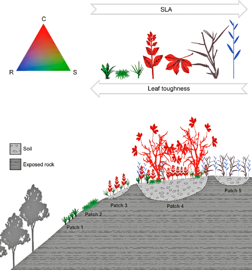 Fig4 de Paula 2015 Biodiversity and Conservation